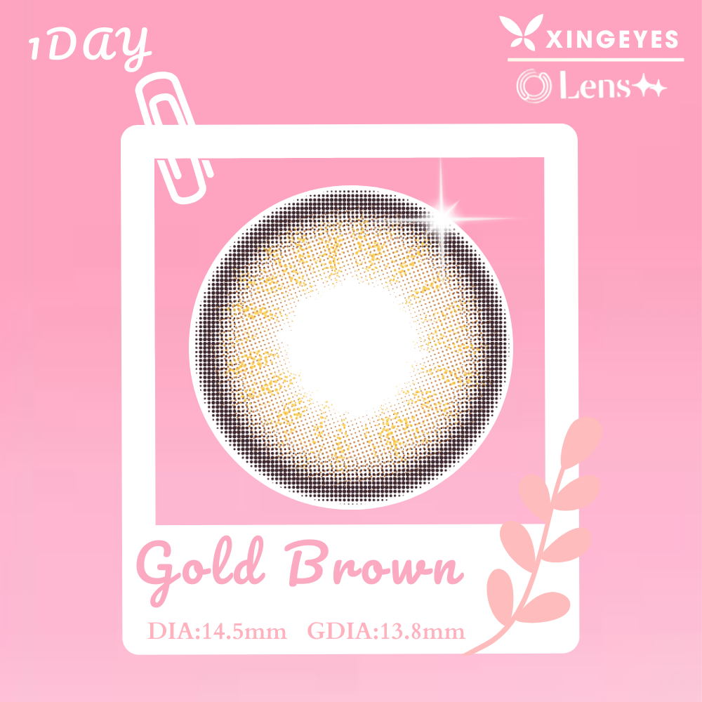 Daily Gold Brown - 1 Hộp