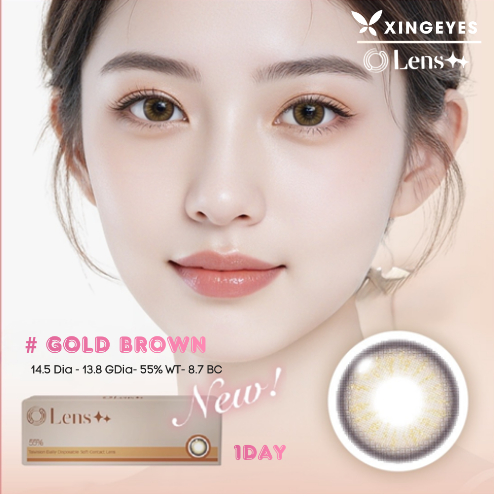 Daily Gold Brown - 1 Hộp