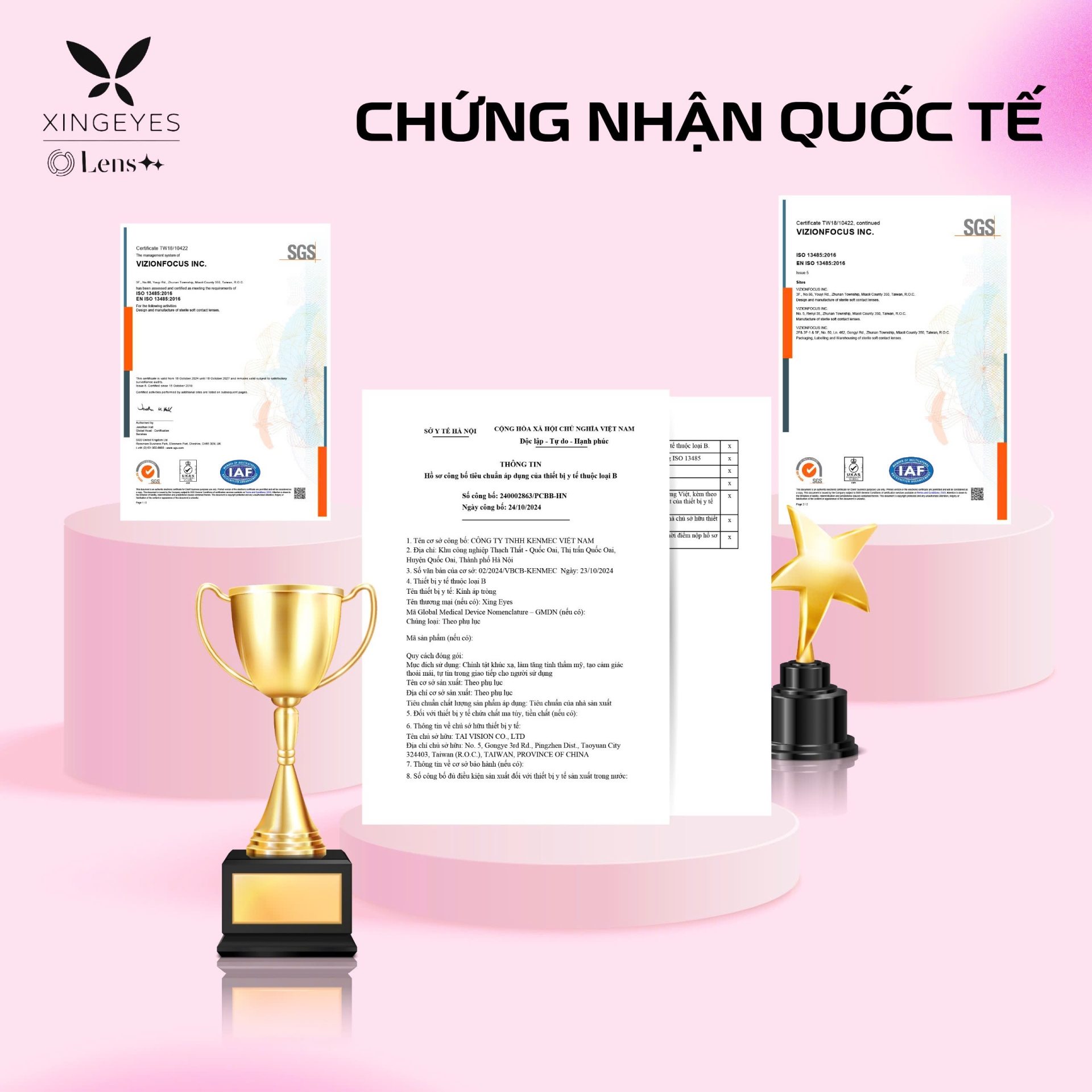 Daily Gold Brown - 1 Hộp