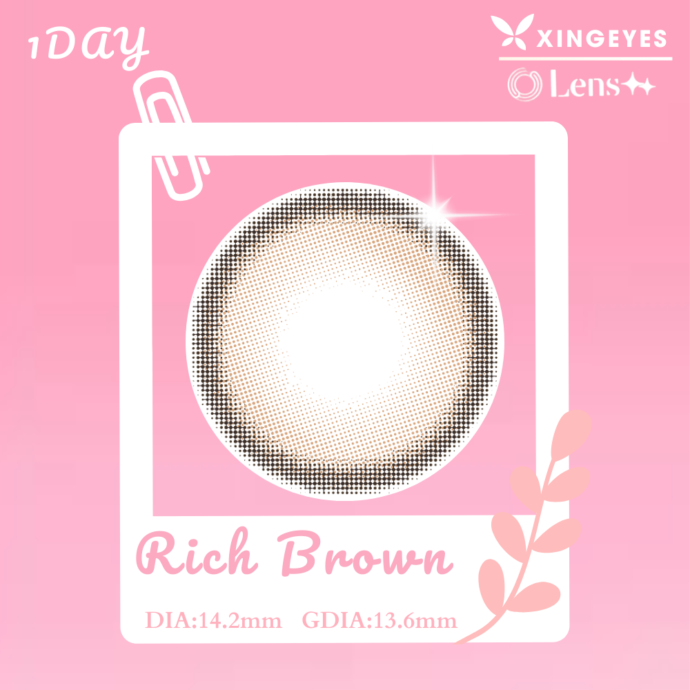 Daily Rich Brown - 1 Hộp