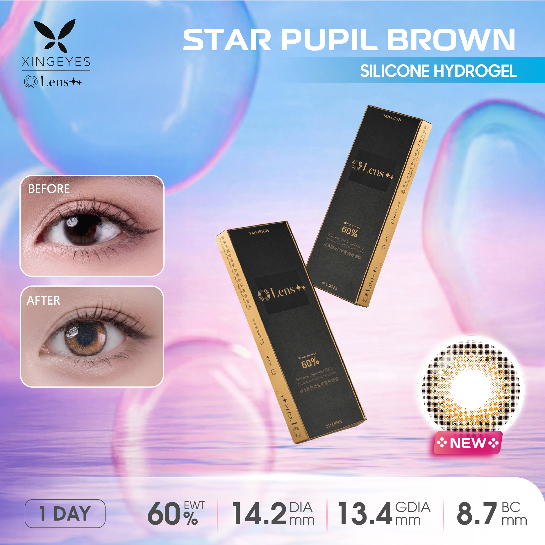 Daily Star Pupil Brown - 1 Hộp
