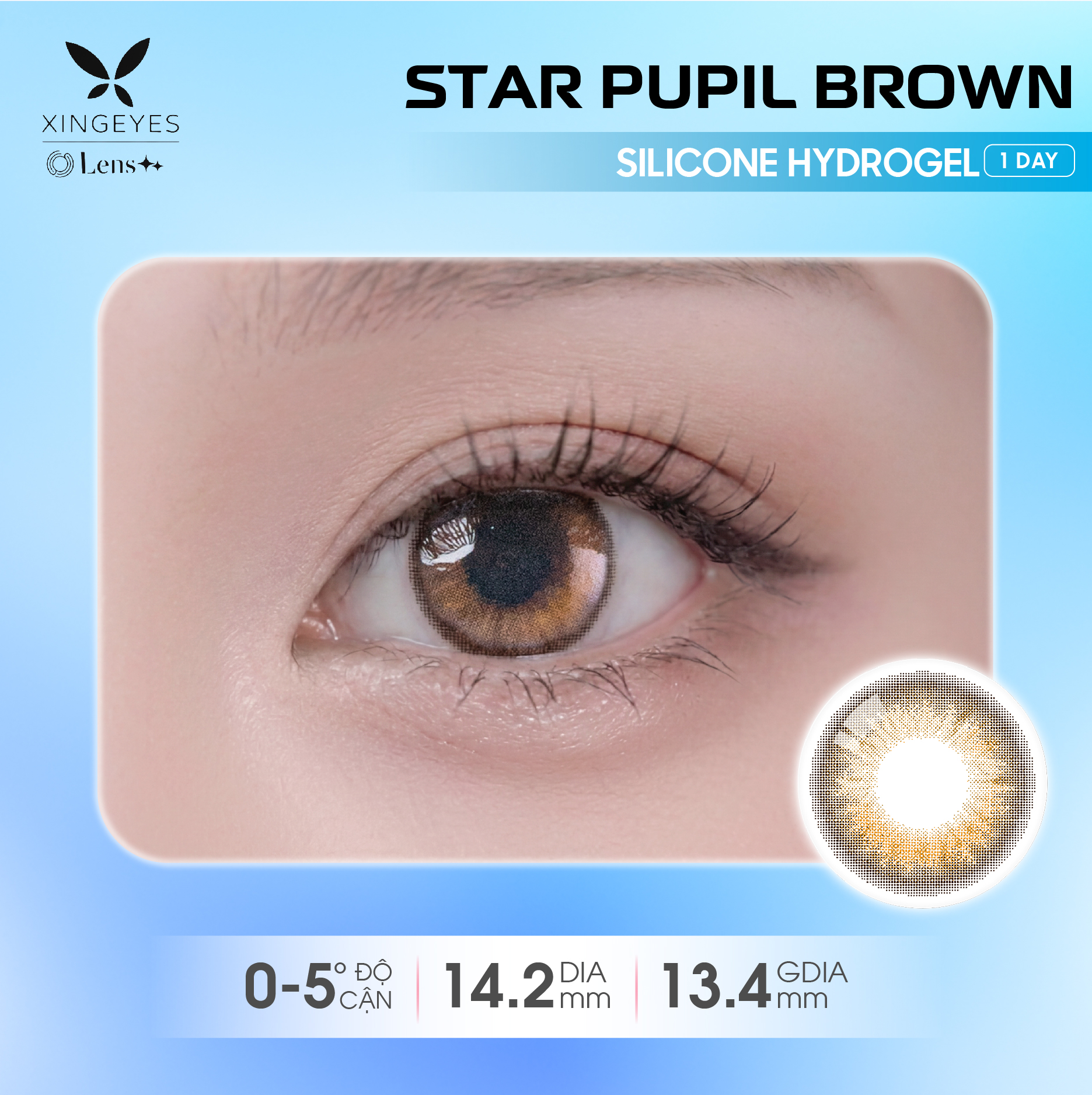 Daily Star Pupil Brown - 1 Hộp