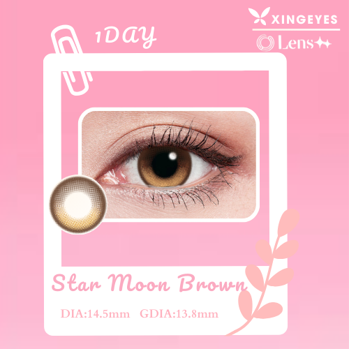 Daily Moon Brown - 1 Hộp