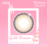 Daily Gold Brown - 1 Hộp