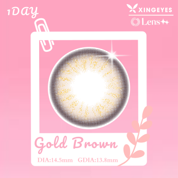 Daily Gold Brown - 1 Hộp