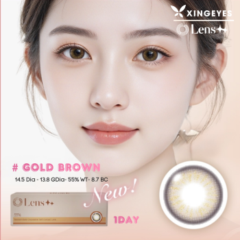 Daily Gold Brown - 1 Hộp
