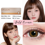 Daily Gold Brown - 1 Hộp