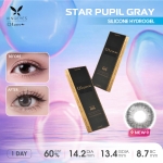 Daily Star Pupil Gray - 1 Hộp