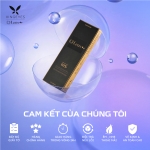 Daily Star Pupil Gray - 1 Hộp