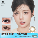 Daily Star Pupil Brown - 1 Hộp