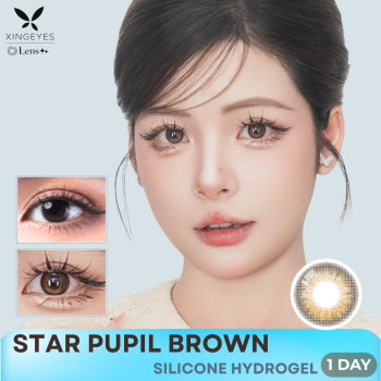 Daily Star Pupil Brown - 1 Hộp