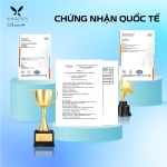 Daily Star Pupil Brown - 1 Hộp