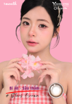 Monthly Stars Brown - 1 chiếc